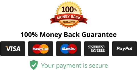 3. Blog Post: Top Secure Online Payment Methods for E-commerce